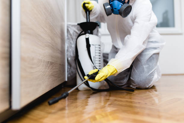 Best Best Pest Control Companies  in Morristown, NJ