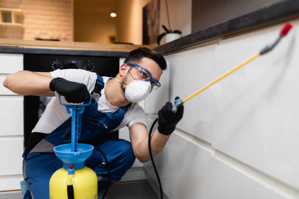 Best Ant Control Services  in Morristown, NJ