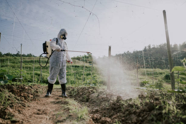 Best Commercial Pest Control Services  in Morristown, NJ