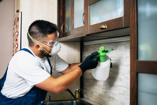 Best Mosquito Control Services  in Morristown, NJ