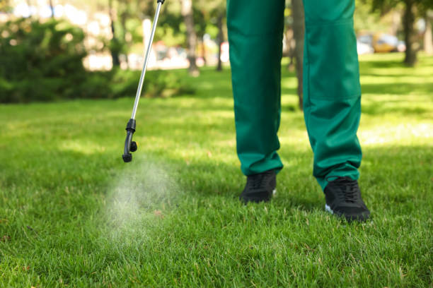 Best Insect Control  in Morristown, NJ