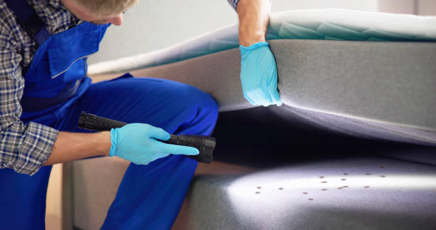 Best Pest Control Near Me  in Morristown, NJ