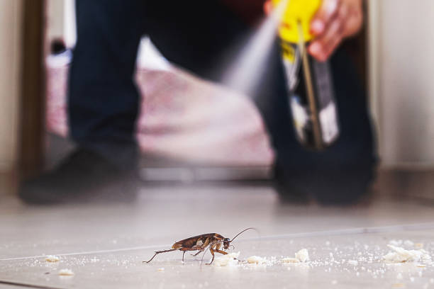 Morristown, NJ Pest Control Company