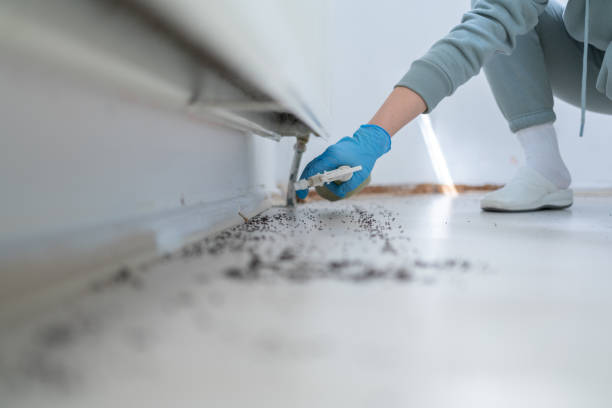 Best Emergency Pest Control  in Morristown, NJ
